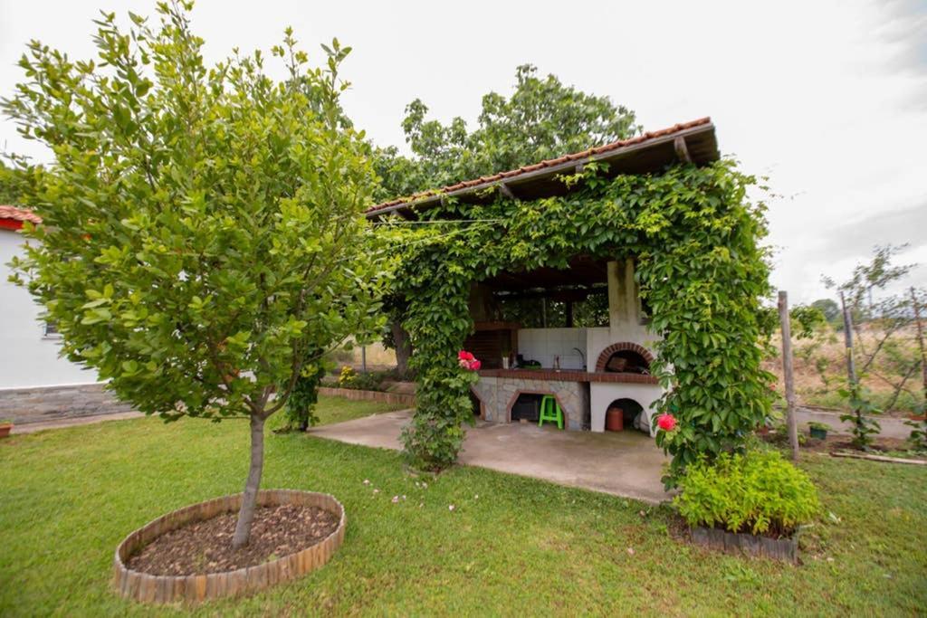 Villa Agrampeli Ierissós Esterno foto
