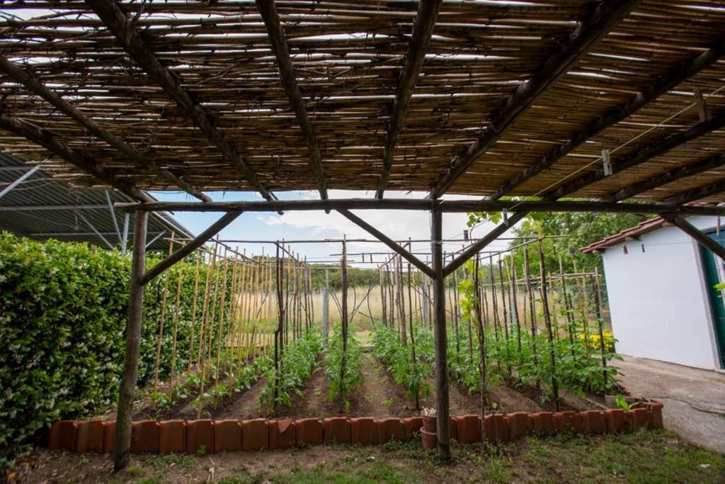 Villa Agrampeli Ierissós Esterno foto